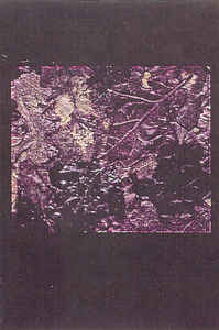 The Monsoon Bassoon: 'Redoubtable' EP