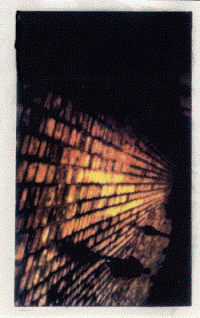 Dayna Kurtz: 'Footprints'