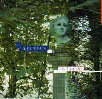 Aqueous: 'Tall Cloudtrees Falling'