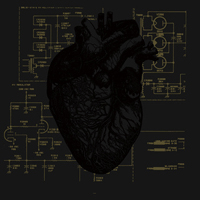 Last Harbour: 'Never'