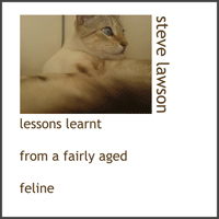 Steve Lawson: 'Lessons Learned From An Aged Feline - Pt 1'