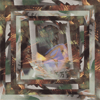 Dutch Uncles: 'Fester'