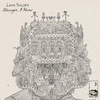 Liam Singer: 'Stranger I Know'