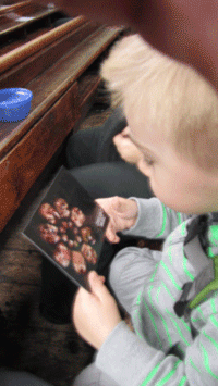 'Misfit City' Jr. at play - Oscar enjoys the show.