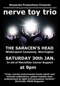 Nerve Toy Trio, 30th January 2016