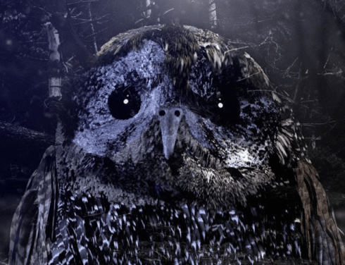 'Sounds of the Birds', 21st September 2016