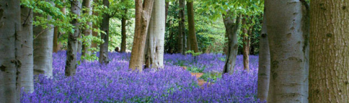 SOIF Soiree, 7th April 2017