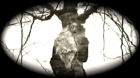 MacGillivray + The Doomed Bird of Providence + Harpoon Group, 20th March 2018