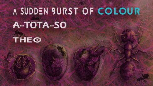 The Facemelter: A Sudden Burst Of Colour + a-tota-so + Theo, 6th July 2018