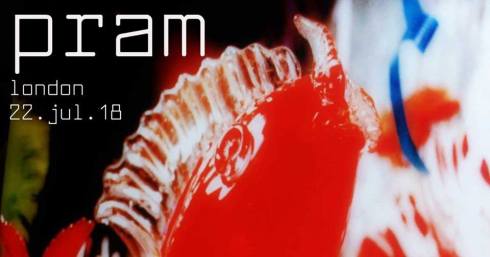 Pram, 22nd July 2018