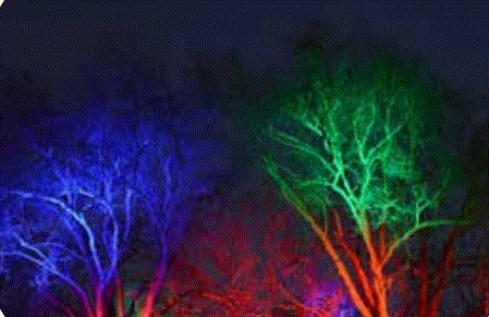 Sonic Imperfections, 13th April 2019