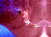 Daylight Music 310: Piney Gir's 'Midsummer Madness' with She Choir + Oly Ralfe - 22nd June 2019