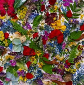 'On The Nature Of Things' - 21st January and 7th February 2020