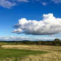 Madrona & Chris Cundy: 'Humming II'